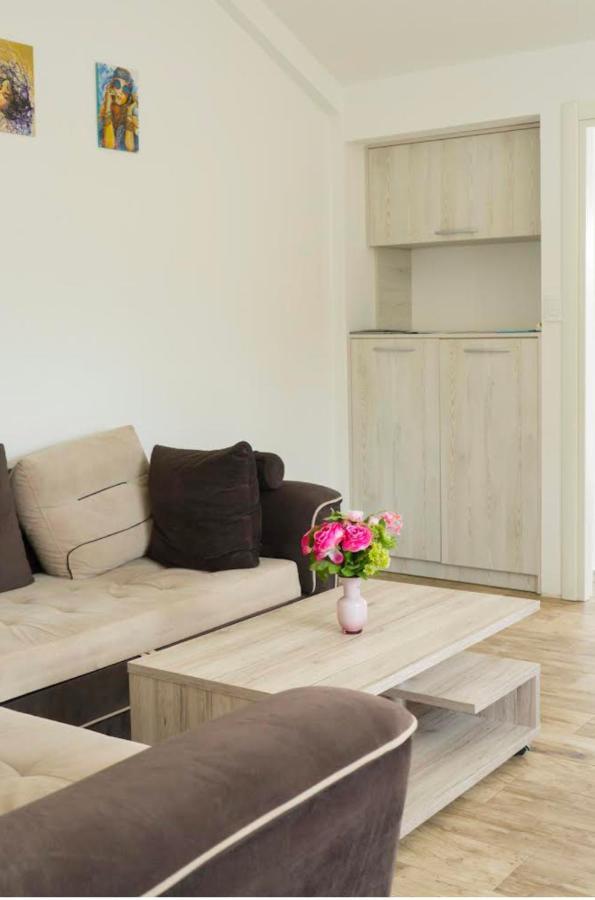 Apartment Franovic *